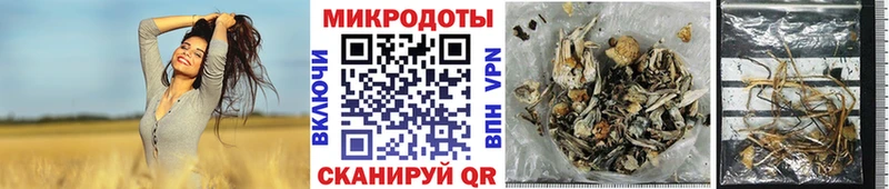 Галлюциногенные грибы мицелий  блэк спрут ссылки  Карасук  сколько стоит 