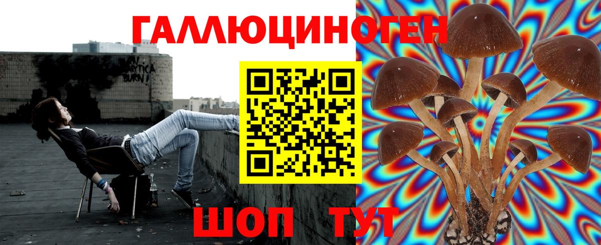 Галлюциногенные грибы прущие грибы  Псилоцибиновые грибы Cubensis  Карасук  Вход с VPN 