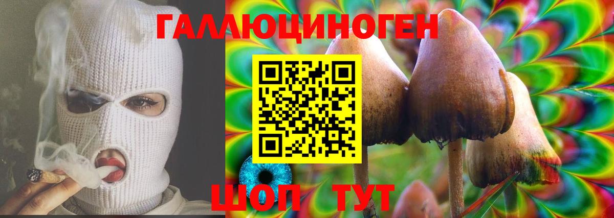 Псилоцибиновые грибы Cubensis Карасук